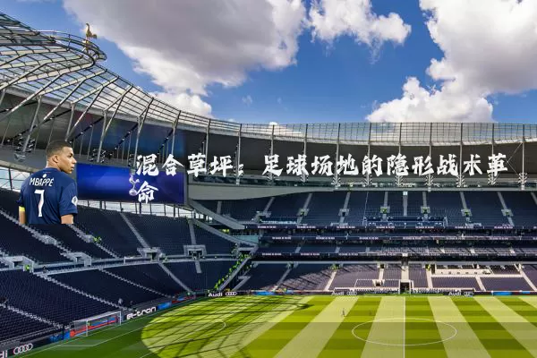 混合草坪:足球场地的隐形战术革命